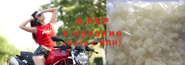 прущие крисы Белокуриха