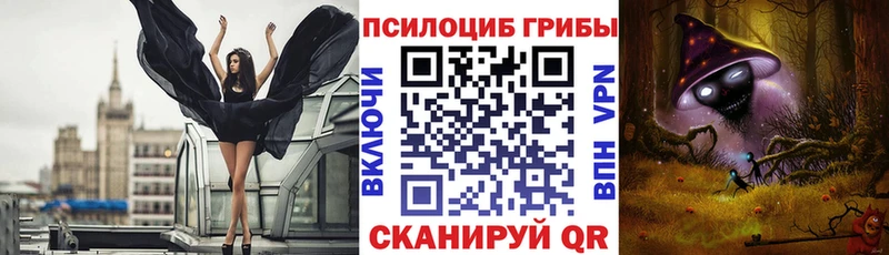 Галлюциногенные грибы прущие грибы  Кедровый 